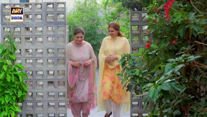 Dil e Veeran Episode 52 - 31st July 2022 -  ARY Digital Drama(480P)