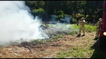 Bombeiros combatem incêndio em vegetação na Rua Santa Catarina