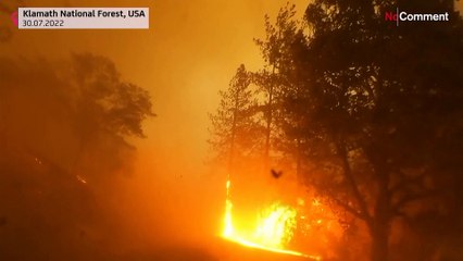 Fast moving McKinney fire burns forest in US