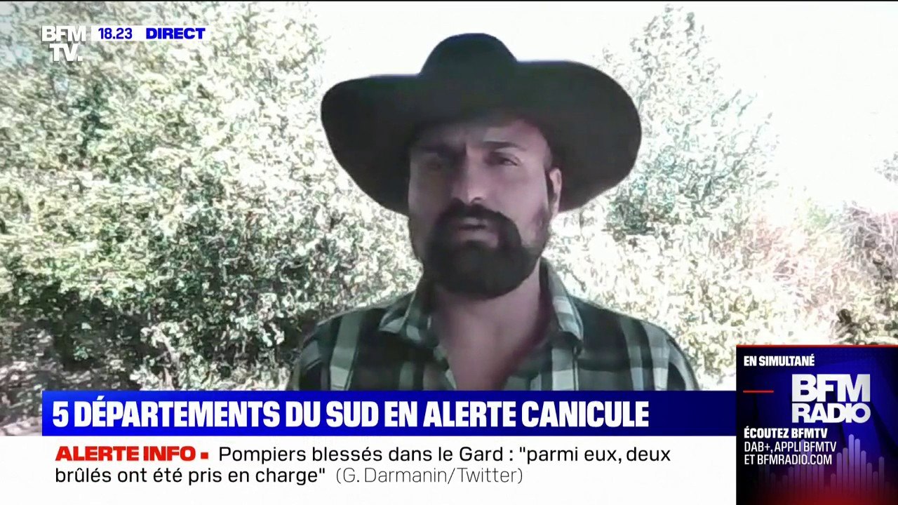 Pourquoi les arbres perdent-ils leurs feuilles en période de sécheresse?