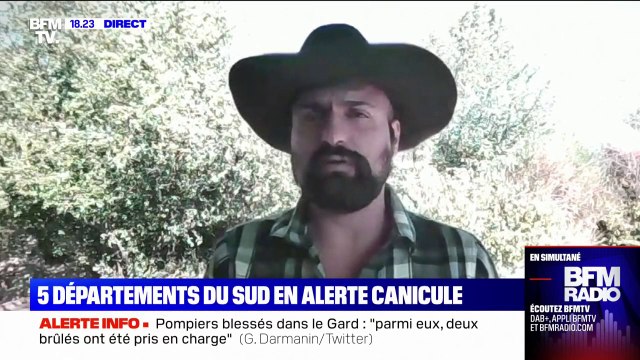 Pourquoi les arbres perdent-ils leurs feuilles en période de sécheresse?