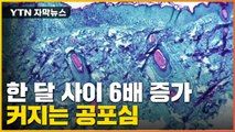 [자막뉴스] 어린이까지 걸렸다...빠르게 확산하는 '원숭이 두창' / YTN