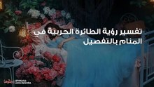 تفسير رؤية الطائرة الحربية في المنام بالتفصيل