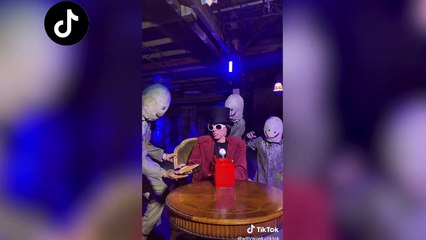 Willywonkatiktok TikTok Compilation    Best of Willywonkatiktok TikToks 2021 #1