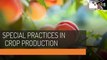 Crop Refresher: Lecture 21 - Special Practices in Crop Production