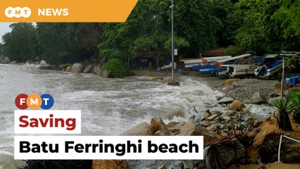 More marine plants can save Batu Ferringhi beach, says expert