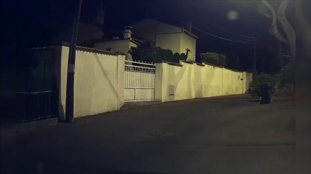 À Marseille, les voisins de la prison des Baumettes excédés par les parloirs sauvages la nuit