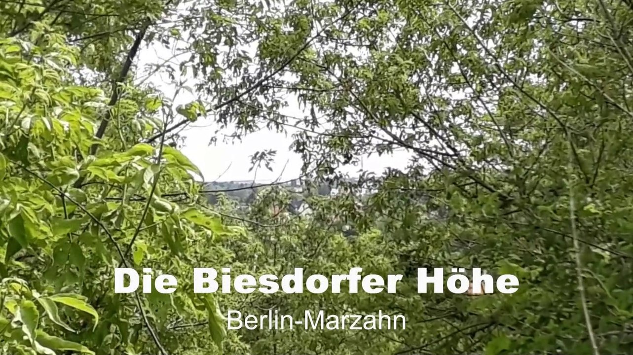 Die Biesdorfer Höhe