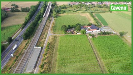 Le Brabant Wallon vu du ciel : Le vignoble du Domaine W