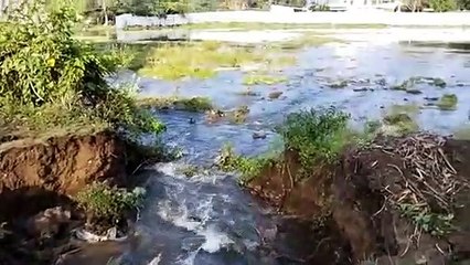 சூறைக்காற்றுடன் கொட்டித்தீர்த்த கனமழை.. சாலைகளில் வெள்ளப்பெருக்கு.