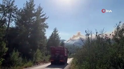 Burdur'da orman yangını