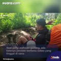 Sekelompok Pria Dibegal Monyet saat Mendaki Gunung, Barang yang Diambil Bikin Ngakak