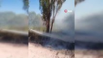 Sivas yerel haberleri | Şarkışla'da ağaçlık alanda çıkan yangın korkuttu