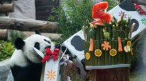 Rusya’da pandalara sürpriz doğum günü partisi