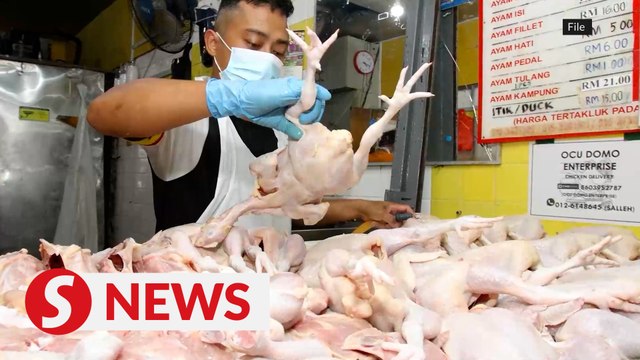 Measures to stabilise chicken supply pay off, oversupply helps keep prices down, says Kiandee