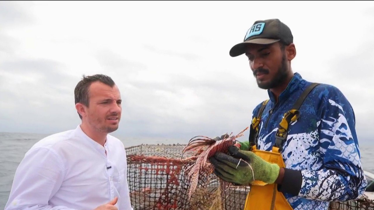 Terroir - Guadeloupe : pêche dans les Caraïbes