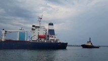 Guerre en Ukraine: un premier navire transportant des céréales destinées à l'exportation a quitté Odessa