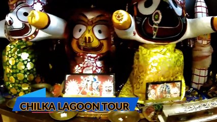Puri To chilika Tour Guide _ Puri Chilka Lake Dolphin Tour.उड़ीसा पुरी सस्ते और कम बजट में घुमे