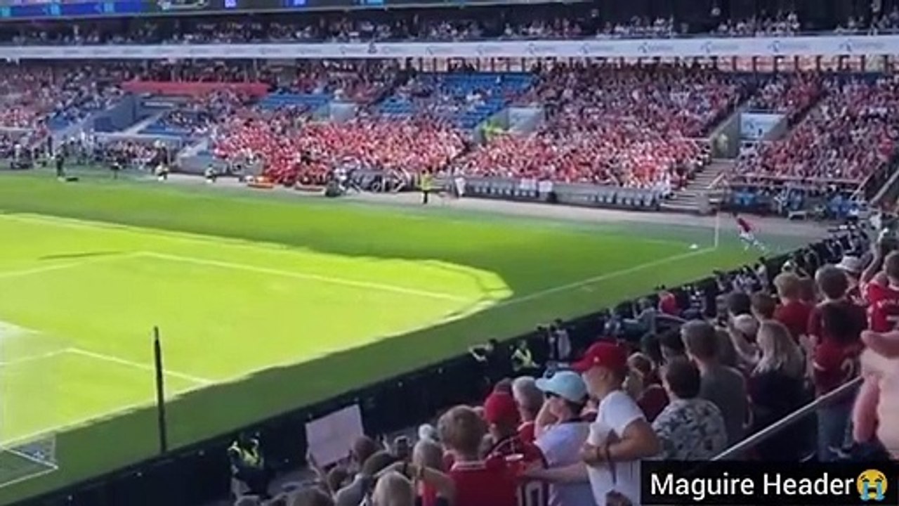 Manchester United Vs Atletico Madrid Fight Scene