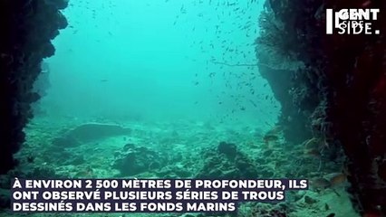 De mystérieux trous découvert au fond de l'Atlantique