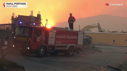 Portugal: Forest fire breaks out north of Lisbon