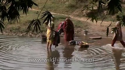 How women do laundry in rural India - Uttar Pradesh