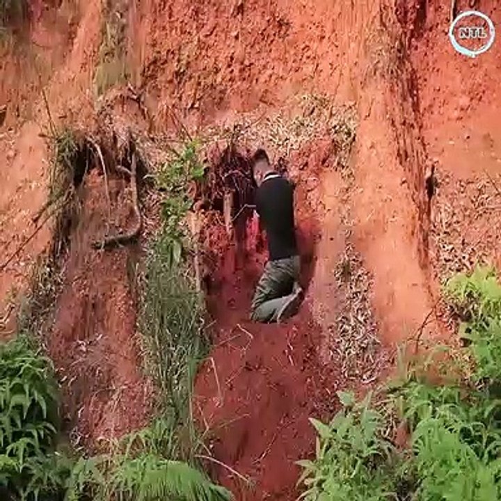 Build Bushcraft wooden structures, clay roofs, fireplaces and craft fish traps to catch fish for a wild dinner