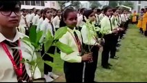 हरियाळो राजस्थान: प्रिंस के हजारों विद्यार्थियों ने एक साथ पौधे लगाकर लिया पर्यावरण संरक्षण का संकल्प