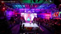 Major Concern For HHH Health…WWE Hall Famer Begs Tony Khan…WWE Want Banks Back…Wrestling News