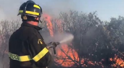 Palmas Arborea (OR) - Incendio boschivo vicino centro abitato (01.08.22)