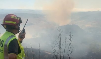 Roccella Ionica (RC) - Brucia vasta area di macchia mediterranea (01.08.22)