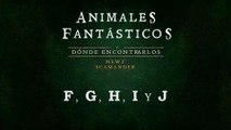 Animales fantásticos y dónde encontrarlos (04: F, G, H, I y J) - Audiolibro en Castellano