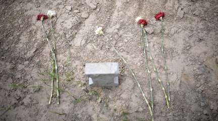 Zeigen Satellitenbilder von Oleniwka wirklich Massengräber?