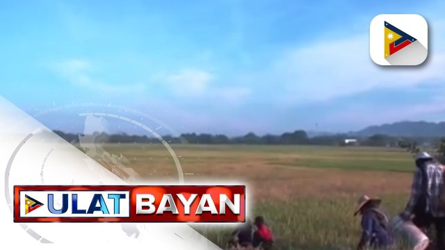 P8-B cash allocation para sa 1.5-M rice farmers, aprubado na ng DBM