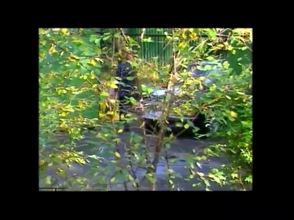 Erich Honecker-Interview 1991 Moskau