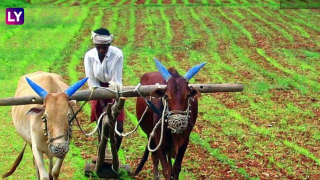 Nag Panchami 2022 Date: नागपंचमी सणाची तारीख, शुभ मुहूर्त आणि पूजा विधी, जाणून घ्या