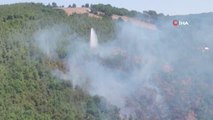 Son dakika haberi: Çanakkale'de orman yangını: Müdahale devam ediyor