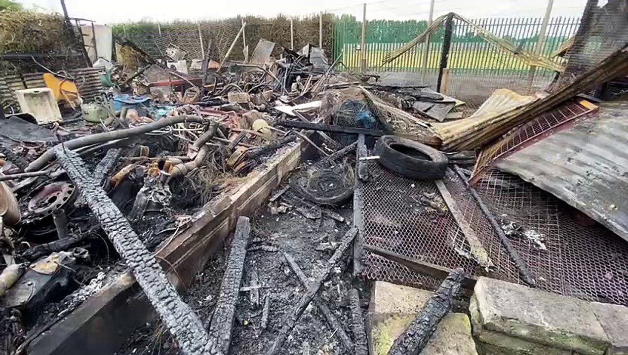 See the Hartlepool allotments left a 'bombsite'...