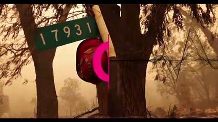 Californie : l'incendie McKinney a détruit plus de 25 000 hectares de forêt ce dimanche