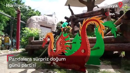 Rusya’da pandalara sürpriz doğum günü partisi
