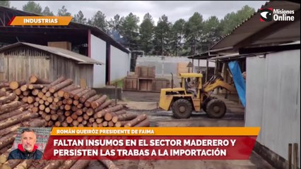 Faltan insumos en el sector maderero y persisten las trabas a la importación