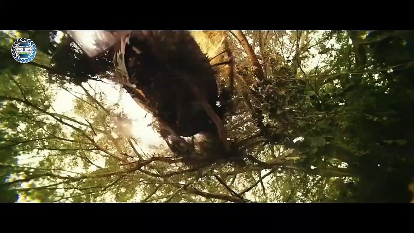 Kong vs Army Battle Scene _  Kong Skull Island (2017)  _  Movie Clip
