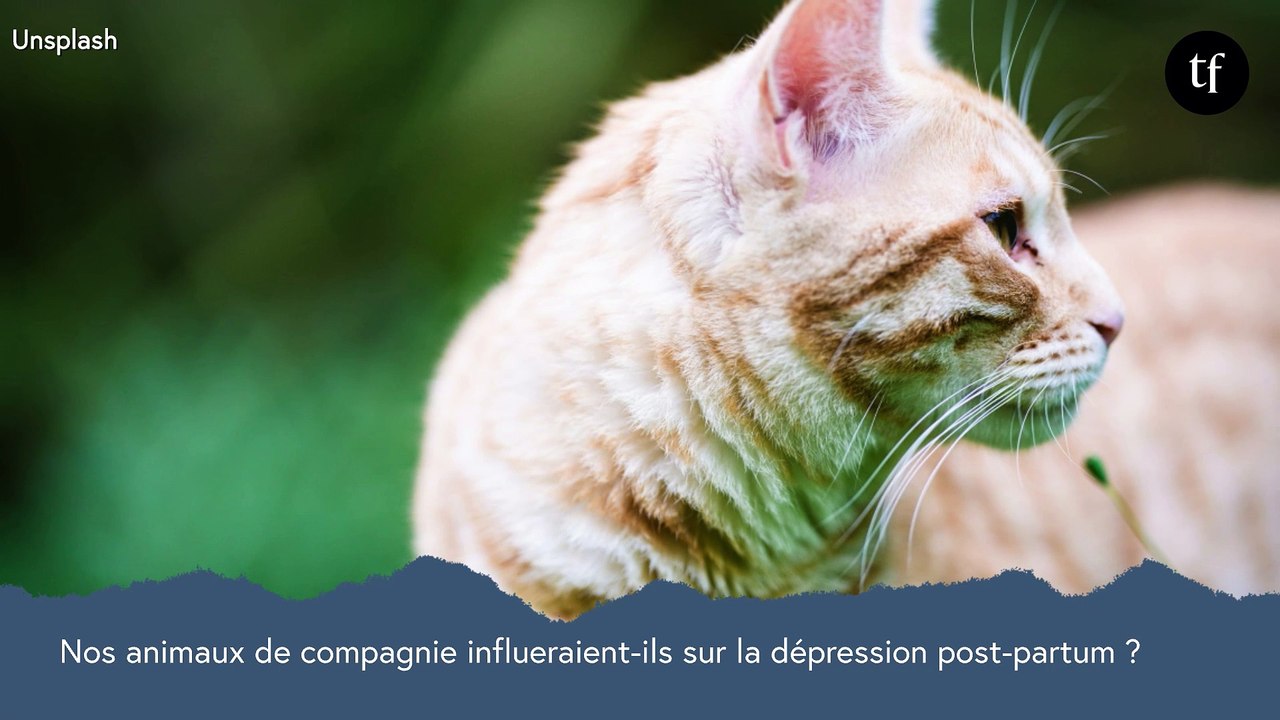 Nos animaux de compagnie influeraient-ils sur la dépression post-partum ?