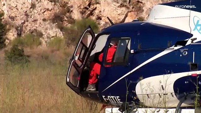 Леса Франции и Португалии горят из-за новой волны жары