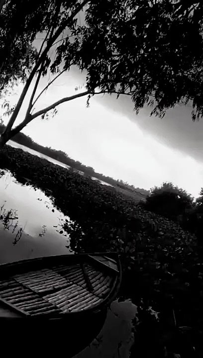 Sada Sada Kala Kala Rong Jomeche Kala Kala...song.. Amader chotto Jiboner Sada Kala Rong.