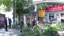10 metrelik ağaç dalı nüfus müdürlüğüne devrildi