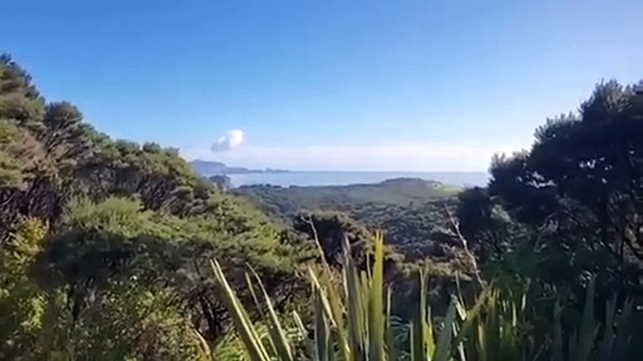 Tsunami in Kermadec Islands, New Zealand Live