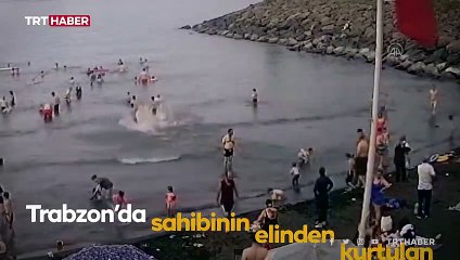 Köpeğin denizde yüzen çocuğa saldırdığı anlar kamerada