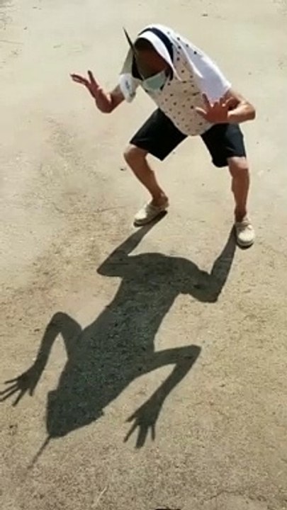 très drôle    funny video #india #yt #youtubeshort #trending #turkey #us #canada #saudia #iran #pk #natural #bohpal #birds #matting process #birds love you #short #funny #yt #youtubeshort #trending #turkey #us #canada #saudia #iran #pk