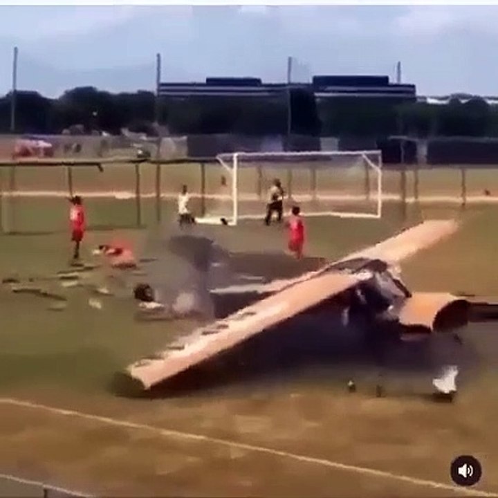 Funny animal #funny #yt #youtubeshort #trending #turkey #us #canada #saudia #iran #pk #natural #bohpal #birds #matting process #birds love you #short #funny #yt #youtubeshort #trending #turkey #us #canada #saudia #iran #pk #natural